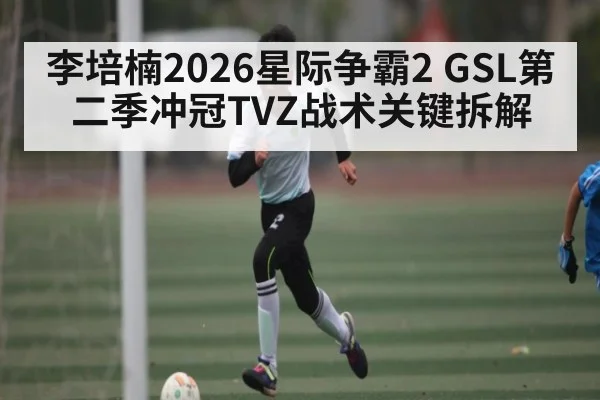 李培楠2026星际争霸2 GSL第二季冲冠TVZ战术关键拆解 - Leyu Sports
